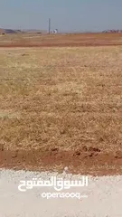  10 مادبا ماعين المشرفة قطعة ارض زراعية مميزة واصل الخدمات ذات اطلالة على البحر الميت واصل الخدمات