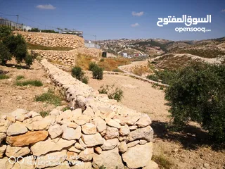  5 ارض باطلالة مميزة في صوريف أول أبوشوك زفتة وكهربا لباب الأرض