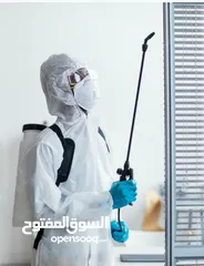  4 شركة مكافحة حشرات الكويت خدمات مكافحة الحشرات والقوارض ورش حشرات إبادة حشرات ورش مبيدات حشرية