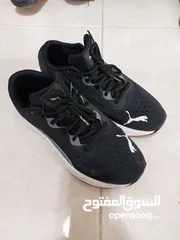  2 بوما بحالة الوكالة اصلي 100 % نمرة 40 للبيع
