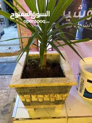  5 أحواض زراعه رخام طبيعي طبقتين ديكوري جميل جدا للأاشجار وعصري قوي ومتين وشلالات