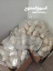 1 جميد كركي سمنه بلدي جبنة غنم