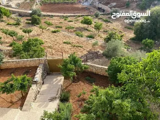  6 مزرعه للبيع في عجلون شمال شرق القلعه طريق مار الياس