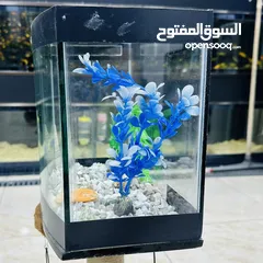  3 حوض حجم صغير للبيع