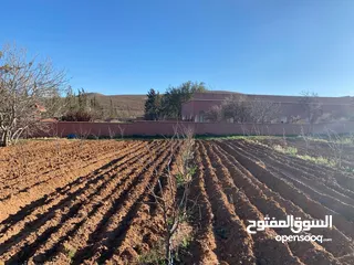  5 134-Hectare Farm for Sale in Morocco - مزرعة محفظة للبيع بمساحة 134 هكتار في منطقة ورزازات، المغرب