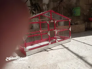  5 السلام عليكم ورحمه الله وبركاته قفص للطيور الرجاء عدم الاتصال على الرقم هاذ بتابع التعليقات شكرا