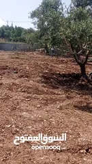  2 ارض مميزه البيع