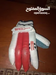  4 cricket batsman gloves of grey nicolls it is a pair