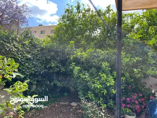  5 بيت مستقل للايجار بمساحة 300 متر ينفع ل(حضانات، دائرة حكومية)