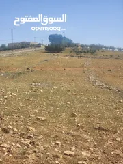  3 للبيع ارض الدجنية يوجد 3 قطعه