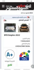  4 بي واي دي دولفين byd