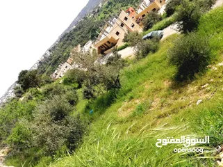  1 ارض في ماحص ام قلعة