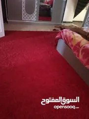  2 سجاد شاغي وكاله 70