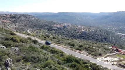  3 دونم ارض في كفر عين مرتفع باطلالة غربية ساحرة  (مشروع طابو)