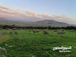  5 مشروع سلحب الاول