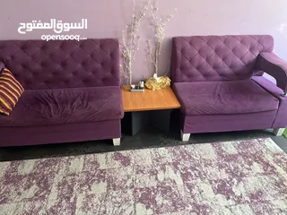  1 Purple Sofa