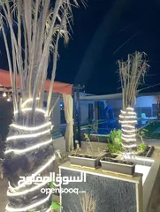  21 شاليهات كمباوند Giving  اكبر مدينة شاليهات اكثر من 20شاليه في مكان واحد  خيارك الانسب متوفر عنا
