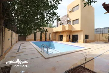  1 شاليه مميز- مفروش- للبيع في الغور