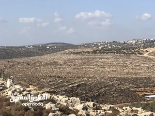  1 ارض للبيع في كفر قدوم