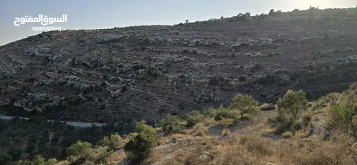  2 ارض زراعيه للبيع بني كنانه