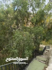  15 مزرعه مع 2 بيت ريفي مخدومه ماء وكهرباء مساحتها 4712