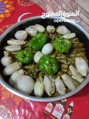  7 كعك ومعمول بأشكال وأنواع مختلفه اضافه إلى جميع انواع المعجنات وطبخ شعبي
