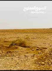  9 ارض للبيع من المالك مباشرة في بلدة العوجا الهادئة.. مساحة 1600 متر مربع تصنيف أ