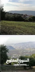  4 للبيع ارض مستوية مساحتها (5620 م2) في خربة الرشواني - علان - البلقاء