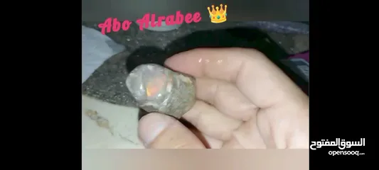  4 حجر اوبال نوع قوس قزح النادر حجر الاوبال الكريم فاير قوي جدا متعدد الألوان فاير احمر الأكثر ندرة