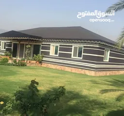  1 تفصيل خيم شعر وتركيب ديكورات داخليه سدو سيتان جلد الغزال