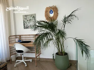  16 شقة مفروشة للايجار في عبدون  ( Property 38278 ) سنوي فقط