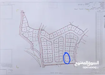  2 ارض للبيع في اريحا الحي الدبلوماسي في القصب