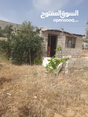  1 ارض للبيع في جرش