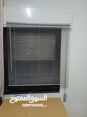  8 برادي زيبرا جديدة بالكرتون للبيع