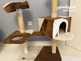  6 Large cat house (منزل قطط كبير)