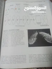  3 كتاب بعنوان biology