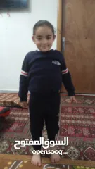  8 ليلي محمد عيسى شلالدة