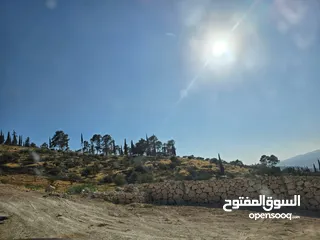  3 قطعة ارض للبيع قرب جامعة فيلادلفيا