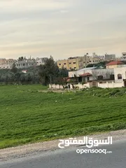  28 منزل مستقل خريبة السوق نافع قرب سوق الخضار المركزي للبيع