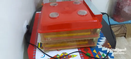  3 فقاسه للبيع