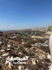  2 قطعة ارض مربعة في بورين