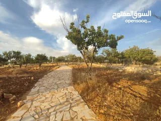  1 أرض سكنية  للبيع في ناعور "أبو الغزلان  " من المالك دون وساطة
