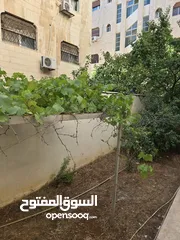  6 شقة مفروشة أرضية مع تراس وحديقة للايجار