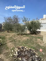  7 بيت مع الارض جاهز للسكن طابو B سعر مناسب من مالك مباشر  بين أبو نجيم واد  رحال موقع هادي السكن