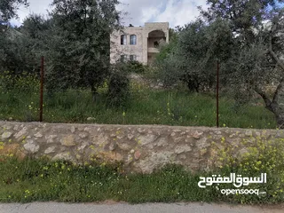  24 بيت ريفي للبيع في جرش - ثغرة عصفور