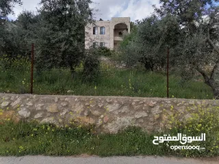  11 بيت ريفي للبيع في جرش - ثغرة عصفور