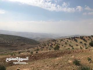  4 ارض في منطقة عراق الامير تحديدا ام المدارس