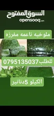  19 جبنه غنم وورق عنب وملوخيه ودبس رمان ومكدوس ومعمول وكعك ودحدح وزعتر وورق غار وزيتون اسود جرجير وزيت و