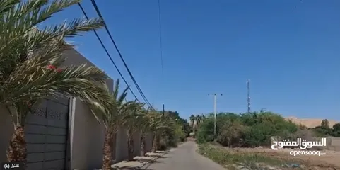  5 أرض استثمارية للبيع لقطة 985 م مناسبة لشاليه الغور غور شميساني للبيع المستعجل