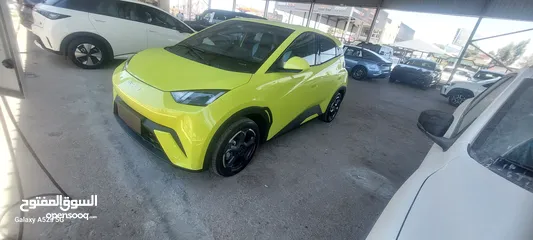  6 بي واي دي سيجال موديل2023